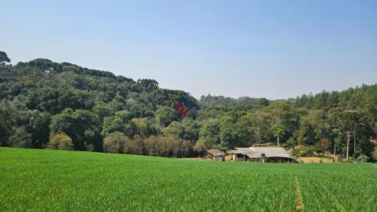 Fazenda / Sítio / Chácara com 1 Quarto à venda, 20000m² no Capela Velha, Araucária