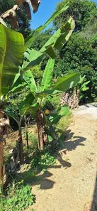 Terreno / Lote / Condomínio à venda, 49839m² no Tribobó, São Gonçalo