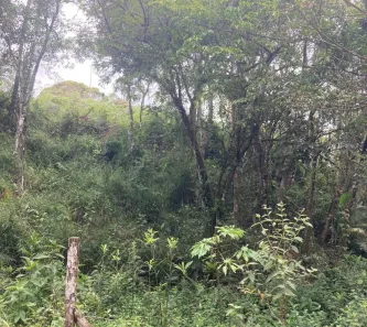 Terreno / Lote / Condomínio à venda, 4000m² no São João Batista, São João Batista