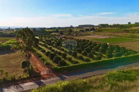 Fazenda / Sítio / Chácara com 4 Quartos à venda, 50000m² no Brazlândia, Brasília