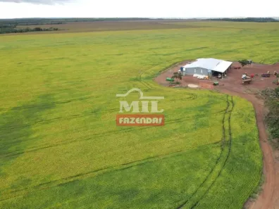 Fazenda / Sítio / Chácara à venda, 55000000m² no , Pedro Afonso
