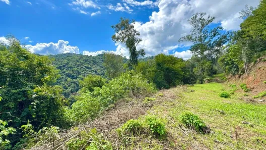 Terreno / Lote / Condomínio à venda, 3900m² no Itaipava, Petrópolis