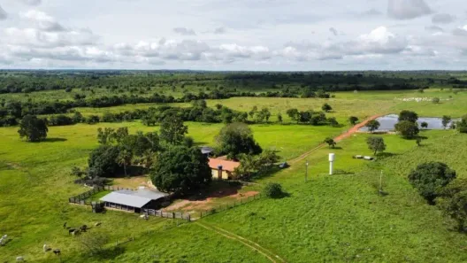Terreno / Lote / Condomínio à venda, 45m² no Setor Central, Formoso do Araguaia