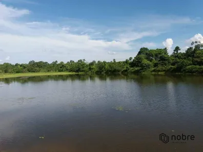 Fazenda / Sítio / Chácara com 3 Quartos à venda, 110m² no Gurupi, Gurupi