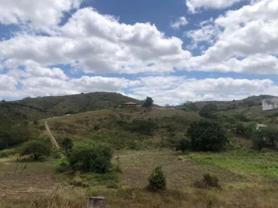 Fazenda / Sítio / Chácara com 3 Quartos à venda, 160000m² no Passira, Passira