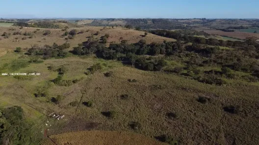 Terreno / Lote Comercial à venda, 508000m² no , Assaí