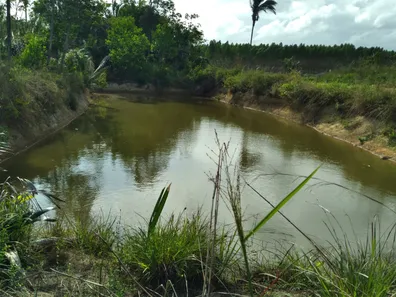 Fazenda / Sítio / Chácara com 3 Quartos à venda, 200m² no Centro, Itapecuru Mirim