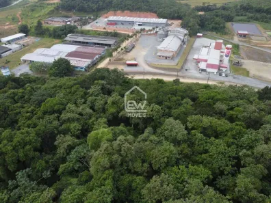 Galpão / Depósito / Armazém à venda, 39238m² no , Massaranduba