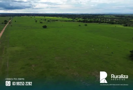 Fazenda / Sítio / Chácara à venda, 1306m² no , Arapoema