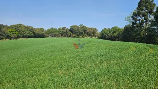 Fazenda / Sítio / Chácara com 1 Quarto à venda, 20000m² no Capela Velha, Araucária