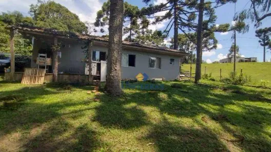 Fazenda / Sítio / Chácara com 3 Quartos à venda, 90m² no Saltinho, Campina Grande do Sul