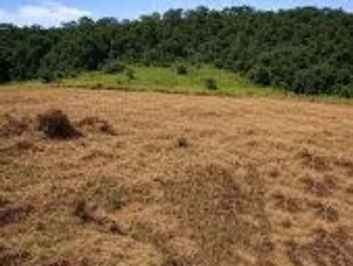 Cobertura com 4 Quartos à venda, 1000m² no Centro, São Roque
