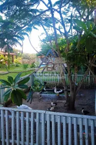 Fazenda / Sítio / Chácara com 6 Quartos à venda, 600m² no Alpes Suiços, Gravatá