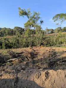 Fazenda / Sítio / Chácara com 3 Quartos à venda, 1000m² no Saboó, São Roque