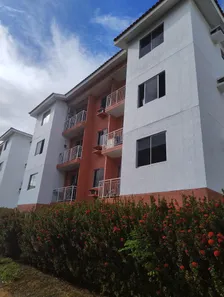 Apartamento com 3 Quartos para alugar, 53m² no Tarumã, Manaus
