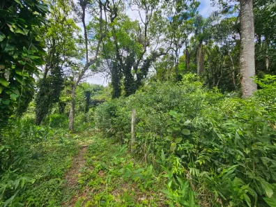 Terreno / Lote / Condomínio à venda, 2400m² no Antonina, Antonina
