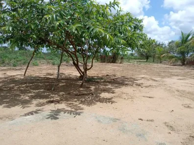 Fazenda / Sítio / Chácara com 3 Quartos à venda, 50m² no , Vera Cruz