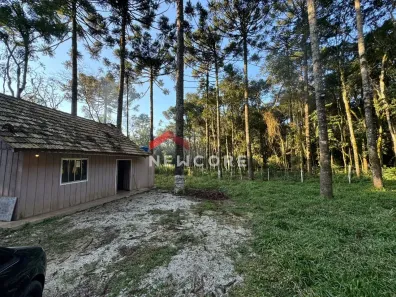 Fazenda / Sítio / Chácara com 1 Quarto à venda, 7286m² no Serrinha, Contenda