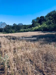Fazenda / Sítio / Chácara à venda, 20000m² no , Catanduvas