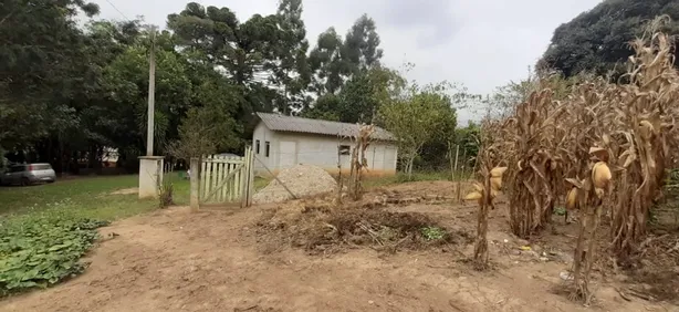 Fazenda / Sítio / Chácara com 2 Quartos à venda, 24100m² no , Contenda