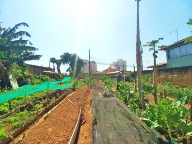 Terreno / Lote / Condomínio para alugar, 443m² no Vila Solar, Limeira