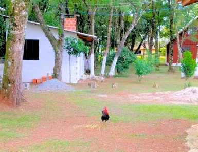 Terreno / Lote / Condomínio à venda, 2030m² no Centro, Balsa Nova