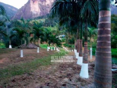Fazenda / Sítio / Chácara à venda, 160000m² no Córrego do Ouro, Macaé