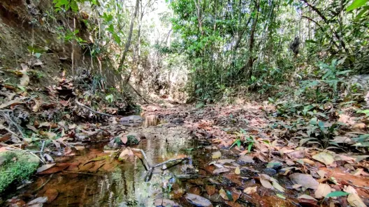 Fazenda / Sítio / Chácara à venda, 20000m² no Setor de Habitações Individuais Sul, Brasília
