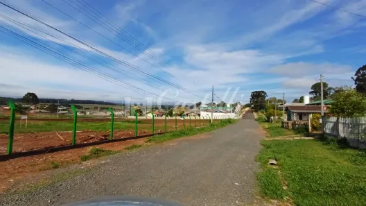 Terreno / Lote / Condomínio para alugar, 10000m² no Uvaranas, Ponta Grossa