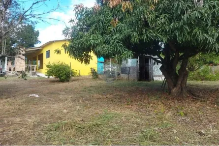 Fazenda / Sítio / Chácara com 3 Quartos para alugar, 1000m² no Recanto São Manoel I, Salto de Pirapora