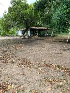 Fazenda / Sítio / Chácara à venda, 220300m² no Povoado, Alhandra