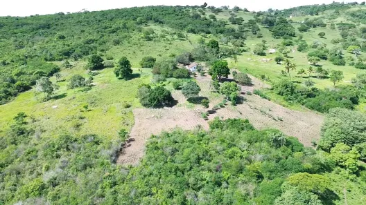 Fazenda / Sítio / Chácara com 2 Quartos à venda, 92000m² no Área Rural de Gravatá, Gravatá