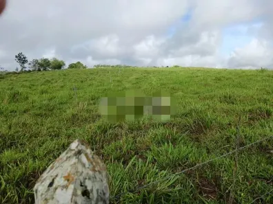 Fazenda / Sítio / Chácara com 5 Quartos à venda, 650000m² no Pau Ferro, Quipapá