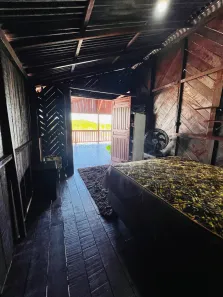 Casa com 3 Quartos para alugar, 150m² no , Salinópolis