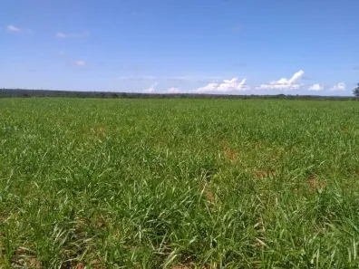 Fazenda / Sítio / Chácara à venda, 86757000m² no , Guaraí
