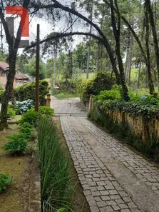 Fazenda / Sítio / Chácara com 3 Quartos à venda, 230m² no Salgadinho, Campo Largo