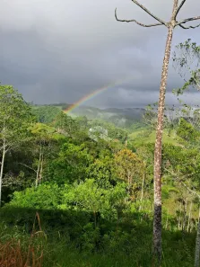 Terreno / Lote / Condomínio à venda, 3700m² no Centro, São Pedro de Alcântara