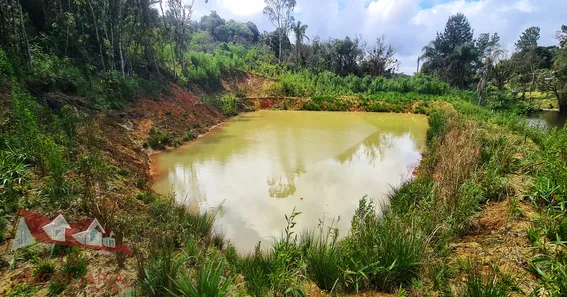 Fazenda / Sítio / Chácara à venda, 12400m² no Matulão, Tijucas do Sul