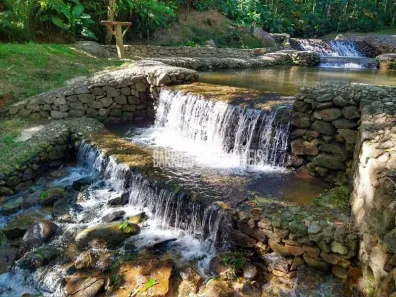 Fazenda / Sítio / Chácara com 3 Quartos à venda, 150000m² no Papucaia, Cachoeiras de Macacu