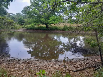 Fazenda / Sítio / Chácara com 2 Quartos à venda, 490000m² no Área Rural de Novo Gama, Novo Gama