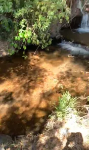Fazenda / Sítio / Chácara à venda, 50000m² no Jardim Roriz, Brasília