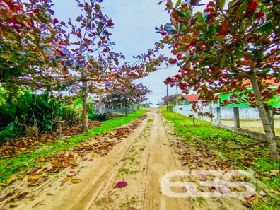 Terreno / Lote / Condomínio à venda, 300m² no Praia do Ervino, 