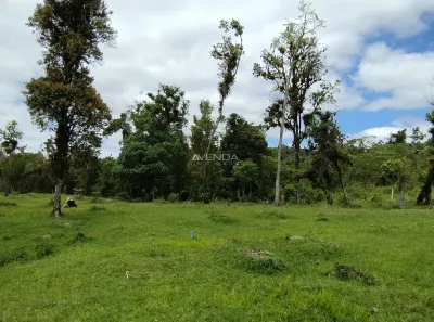 Fazenda / Sítio / Chácara com 6 Quartos à venda, 208036m² no , Campina Grande do Sul