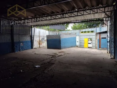 Galpão / Depósito / Armazém para alugar, 310m² no Jardim Paulicéia, Campinas