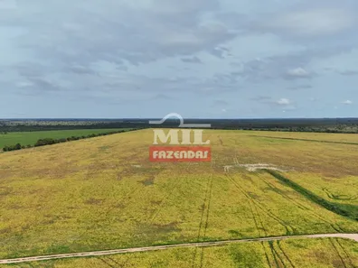 Fazenda / Sítio / Chácara à venda, 500m² no , Pium