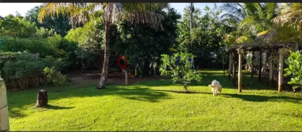 Fazenda / Sítio / Chácara com 3 Quartos para alugar, 300m² no Sítios de Recreio Letícia (Padre Nóbrega), Marília