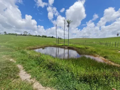 Fazenda / Sítio / Chácara à venda, 304920m² no Centro, Mata de São João