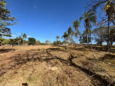 Fazenda / Sítio / Chácara com 5 Quartos à venda, 10000m² no Núcleo Residencial Brasília, Novo Gama