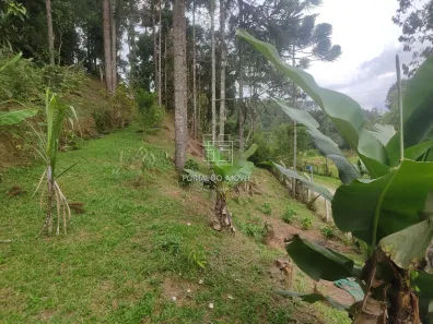 Terreno / Lote / Condomínio à venda, 562m² no , Campina Grande do Sul