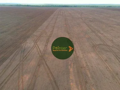 Fazenda / Sítio / Chácara à venda, 100000m² no , Pedro Afonso